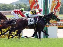 ����å��ǳ��������ɽ�����ޤ�