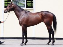 ����å��ǳ��������ɽ�����ޤ�