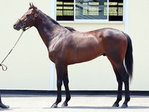 ����å��ǳ��������ɽ�����ޤ�