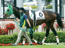 ����å��ǳ��������ɽ�����ޤ�