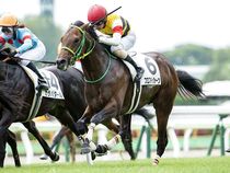 ����å��ǳ��������ɽ�����ޤ�