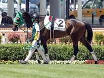 ����å��ǳ��������ɽ�����ޤ�