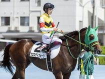 ����å��ǳ��������ɽ�����ޤ�