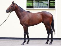 ����å��ǳ��������ɽ�����ޤ�