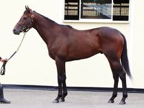 ����å��ǳ��������ɽ�����ޤ�