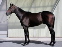 ����å��ǳ��������ɽ�����ޤ�