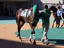 ����å��ǳ��������ɽ�����ޤ�