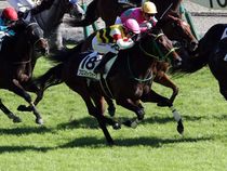 ����å��ǳ��������ɽ�����ޤ�