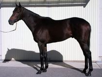 ����å��ǳ��������ɽ�����ޤ�