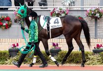 ����å��ǳ��������ɽ�����ޤ�