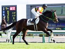 ����å��ǳ��������ɽ�����ޤ�