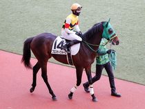 ����å��ǳ��������ɽ�����ޤ�