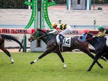 ����å��ǳ��������ɽ�����ޤ�