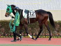 ����å��ǳ��������ɽ�����ޤ�