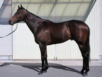 ����å��ǳ��������ɽ�����ޤ�