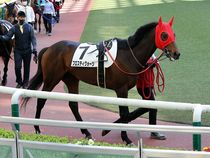 ����å��ǳ��������ɽ�����ޤ�