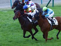 ����å��ǳ��������ɽ�����ޤ�