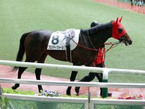 ����å��ǳ��������ɽ�����ޤ�