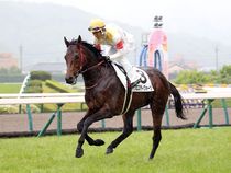 ����å��ǳ��������ɽ�����ޤ�