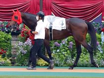 ����å��ǳ��������ɽ�����ޤ�