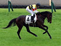 ����å��ǳ��������ɽ�����ޤ�