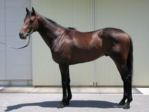 ����å��ǳ��������ɽ�����ޤ�