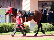 ����å��ǳ��������ɽ�����ޤ�