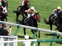 ����å��ǳ��������ɽ�����ޤ�