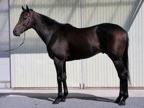 ����å��ǳ��������ɽ�����ޤ�