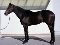 ����å��ǳ��������ɽ�����ޤ�