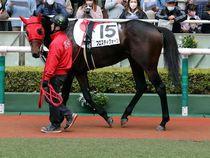 ����å��ǳ��������ɽ�����ޤ�