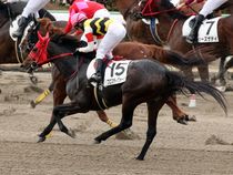 ����å��ǳ��������ɽ�����ޤ�