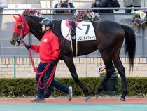 ����å��ǳ��������ɽ�����ޤ�