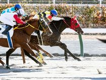 ����å��ǳ��������ɽ�����ޤ�