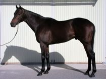 ����å��ǳ��������ɽ�����ޤ�