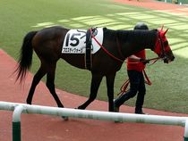 ����å��ǳ��������ɽ�����ޤ�