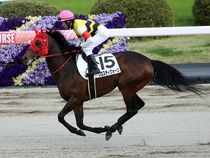 ����å��ǳ��������ɽ�����ޤ�