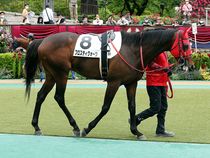 ����å��ǳ��������ɽ�����ޤ�