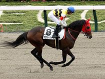 ����å��ǳ��������ɽ�����ޤ�