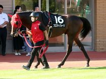 ����å��ǳ��������ɽ�����ޤ�