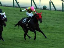 ����å��ǳ��������ɽ�����ޤ�