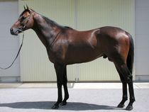 ����å��ǳ��������ɽ�����ޤ�