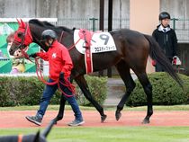 ����å��ǳ��������ɽ�����ޤ�