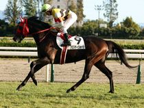 ����å��ǳ��������ɽ�����ޤ�