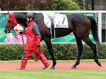 ����å��ǳ��������ɽ�����ޤ�