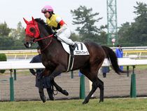 ����å��ǳ��������ɽ�����ޤ�