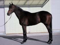 ����å��ǳ��������ɽ�����ޤ�