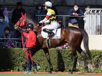 ����å��ǳ��������ɽ�����ޤ�