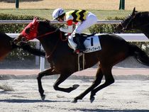 ����å��ǳ��������ɽ�����ޤ�