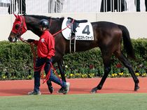 ����å��ǳ��������ɽ�����ޤ�